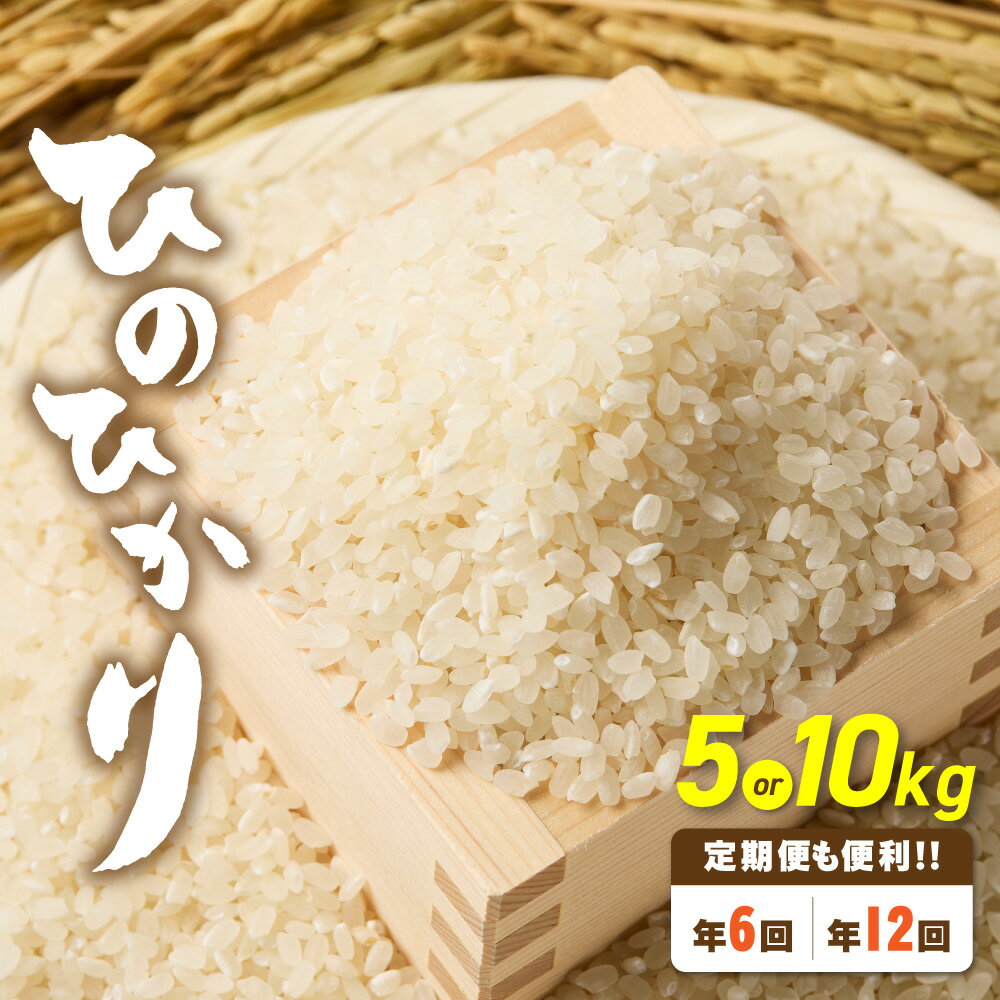 【ふるさと納税】令和7年産 「ひのひかり」5kg 10kg 1回 6回 12回 定期便【ほたるの里】上位等級米