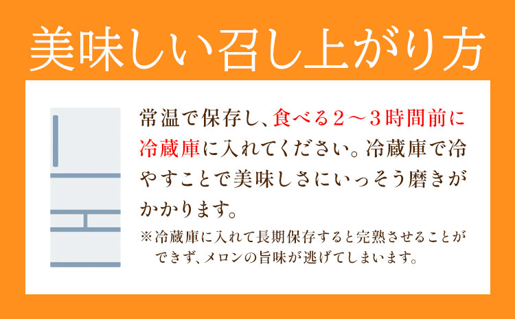 【先行予約】肥後グリーンメロン 4玉 児玉農園 1玉(1.8kg以上)《5月上旬-5月末頃出荷》メロン グリーンメロン 熊本県 玉東町 フルーツ 果物