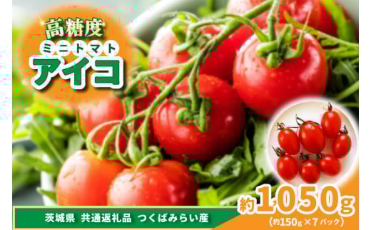 高糖度ミニトマト　アイコ 約150g×7pc (茨城県共通返礼品:つくばみらい市産) (BR173)