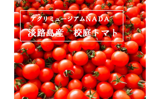 
            アグリミュージアムＮＡＤＡ　校庭トマト　２kg
          