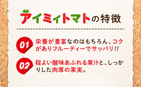 「食の安全」を守りたい！自然を活用した低農薬栽培！ ミディアムトマト 3kg 料理 人気 美容 健康 ギフト 広島県産 江田島市/有限会社グリーンファーム沖美[XAB001]