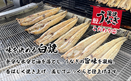 【 母の日ギフト 】【化粧箱入り】【 訳アリ 】 国産うなぎ 蒲焼き 3尾 セット ( 380g ) 大きさ の不揃い 山椒付き ウナギ 鰻 ふぞろい 不揃い うな重 ひつまぶし 人気 茨城 八千代町