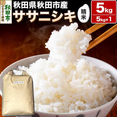 ふるさと納税 秋田市 令和7年産 秋田県秋田市産 ササニシキ 精米 5kg|15_kjd-020501