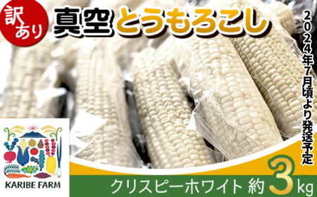 【訳あり】真空とうもろこし3kg（クリスピーホワイト）【 訳ありトウモロコシ 訳あり茨城とうもろこし 訳あり下妻とうもろこし 甘い訳ありとうもろこし 人気とうもろこし おすすめ訳ありとうもろこし 】