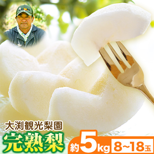 大渕観光梨園 完熟梨 (あきづき 新高梨 新興梨 のいずれか) 約5kg (8～18玉) 熊本県長洲町産 《9月上旬-12月中旬頃出荷》フルーツ 梨 なし
