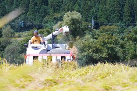 【令和6年産】南魚沼塩沢君沢産こしひかり　白燦々　5kg