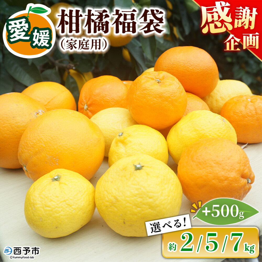 【ふるさと納税】＜笑丸のお楽しみ柑橘福袋（家庭用）約2kg／5kg／7kg 全て＋500g＞ 選べる 内容量 自宅用 訳あり 果物 くだもの フルーツ ミカン みかん 蜜柑 高級柑橘 詰め合わせ 春柑橘 春みかん 夏柑橘 特産品 笑丸 愛媛県 西予市 常温『2026年1月～5月に順次出荷予定』