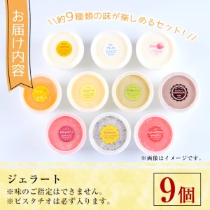 【I-2】＜先行予約受付中！2024年3月以降順次発送予定＞自家製こだわり製法！自家製ジェラート(9個)【ミツル・プラス】