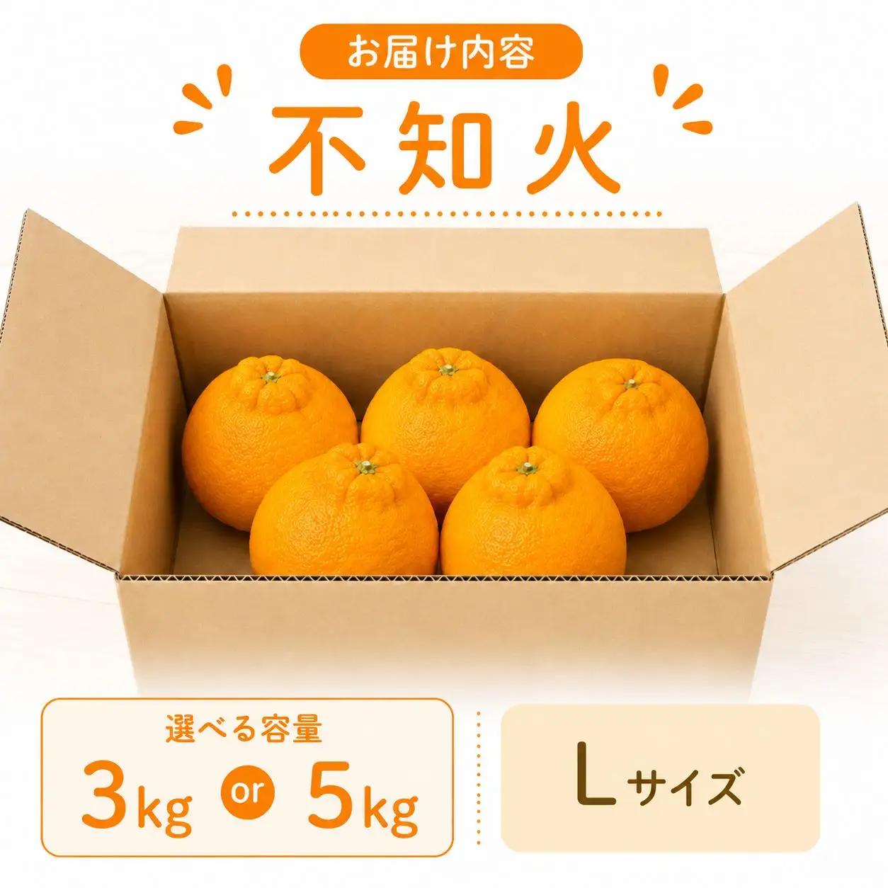 不知火 約5kg みかん しらぬい デコポン 秀品 