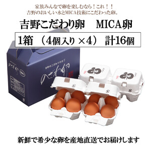 こだわり のざわ卵 16個 【田原本町×吉野町共通返礼品】 ／ 野澤養鶏 おいしい たまご 奈良県