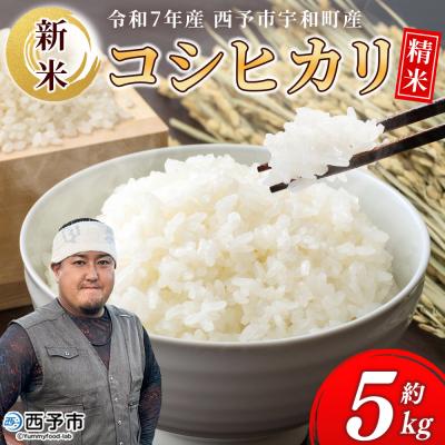 ふるさと納税 西予市 新米&lt;令和7年産 コシヒカリ 5kg&gt;国産 白米 精米 5キロ 愛媛県産 宇和町産 宇和米