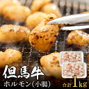 【ふるさと納税】但馬牛経産牛「ホルモン」500g×2 / 和牛 ホルモン 焼肉 炒め物 鍋 料理 012AA04N.