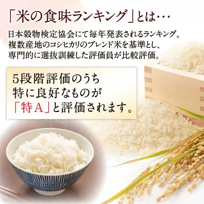 精米 にこまる 5kg×2袋 米 [SDR013]