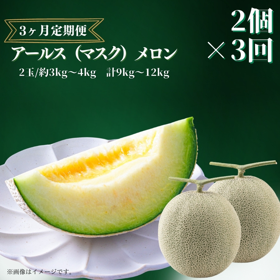 
            【3ヶ月定期便】アールスメロン（マスクメロン）2個入り（約3kg～4kg）×3回 メロン めろん アールスメロン（マスクメロン） おすすめ 人気 国産 青肉 産地直送 茨城 鉾田 フルーツ 旬 大きい プレゼント 贈り物 旬 定番 果物 くだもの 甘い 高級 メロン アールス マスク 青肉 アンテナ付き 完熟収穫 上品 甘い 贈答用 フルーツ  果物 大玉 計3kg 4kg メロンの森
          