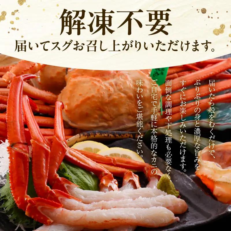 《ボイル》 香住ガニ 大 タグ付き 2枚【令和8年11月以降発送予定】かに カニ 03-08