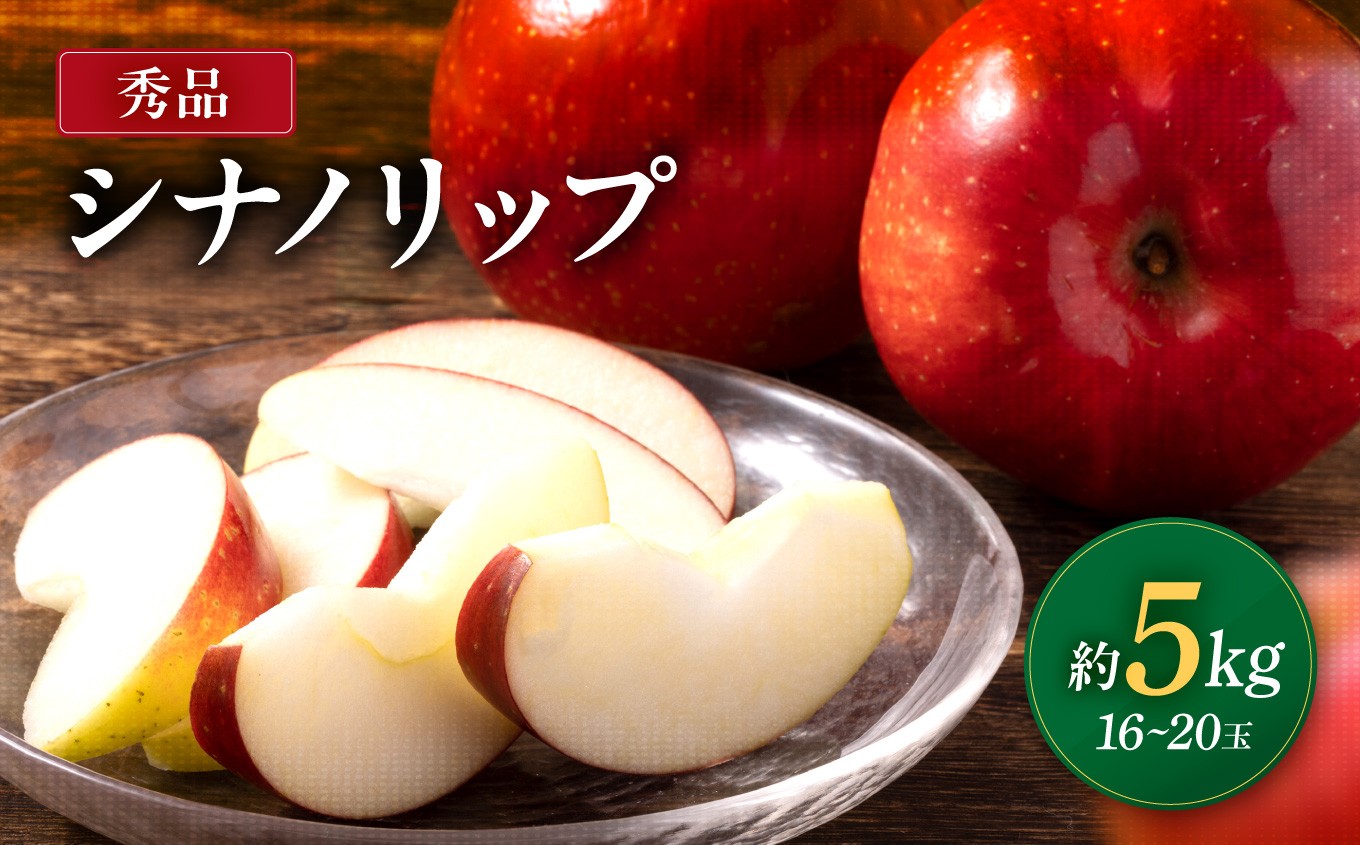 
                   南信州産 シナノリップ 秀品 約5kg 16～20玉 <2026年8月中旬～順次発送> ＪＡみなみ信州ＤＭセンター飯田市 | シナノリップ りんご 林檎 リンゴ 果物 フルーツ 果汁 信州 南信州 送料無料 ふるさと納税 長野県 飯田市
                