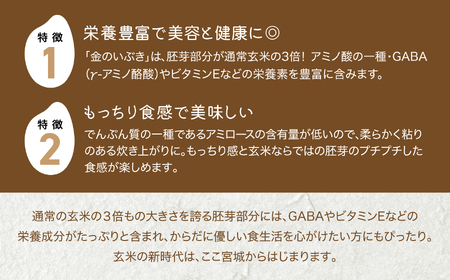 米【 3回 毎月 定期便 】JA加美よつば 金のいぶき 発芽玄米 パックごはん ( 150g × 12個 ) 全3回  [加美よつば農業協同組合 宮城県 加美町 yo00005-r7-3]  玄米 レ