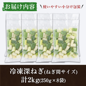 ＜先行予約受付中！2025年2月中旬以降順次発送予定＞冷凍深ネギ(ねぎ間サイズ：計2kg・250g/袋) 野菜 冷凍 冷凍野菜 小分け ねぎ ネギ 深ネギ 小口切り 斜め切り ねぎま 簡単 手軽 小分