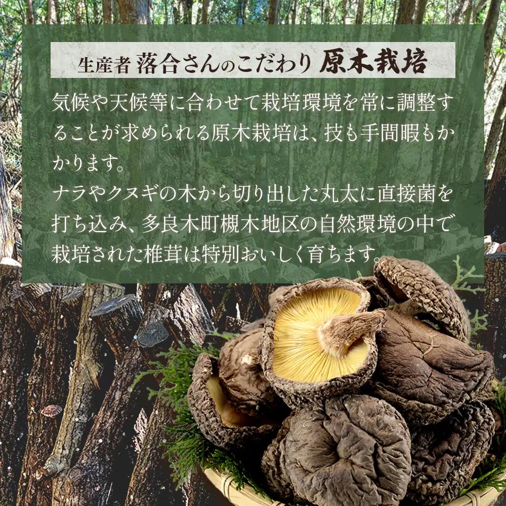 農林水産大臣賞 受賞 槻木 大葉厚肉 乾燥椎茸 205g 026-0025
