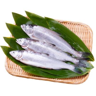 ふるさと納税 小坂町 (冷凍)十和田湖ひめます　約1.3kg(28cm前後　6〜7尾程度)