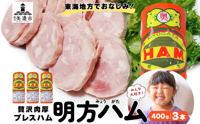 
            [№5308-0518]【9月中旬ごろより順次発送】明方 ハム 3本 プレスハム JA ブランド 高級 豚肉 お肉 国産 熟成 塩分 控えめ 天然 豚腸 バーベキュー BBQ 加工品 お取り寄せ 贈答 ギフト 送料無料 めぐみの農業協同組合 岐阜県 美濃市
          