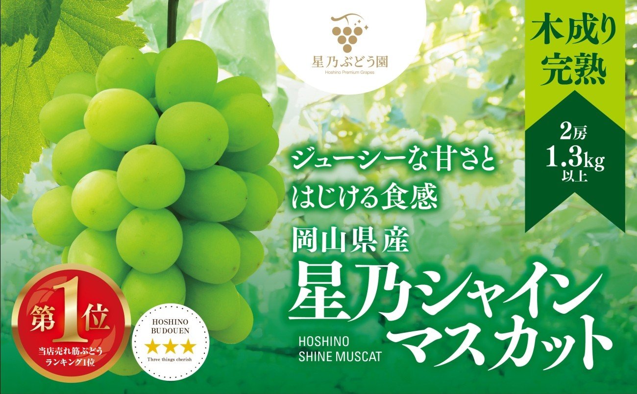 
            先行受付＜三つ星ぶどう＞星乃シャインマスカット (2房 1.3kg以上) 数量限定 岡山県産_ シャインマスカット ぶどう 葡萄 ブドウ 果物 くだもの マスカット フルーツ 人気 美味しい 岡山 津山市 送料無料 【1418979】
          