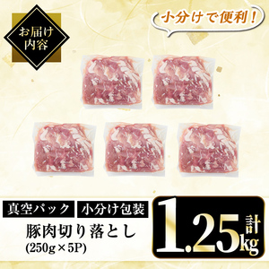 A5-033-A 国産！鹿児島県産豚肉切り落とし真空小分け 250g×5P(計1.25kg)【肉の豊楽】霧島市 豚肉 ぶたにく 豚 小分け 切り落とし 真空パック 切落し 冷凍