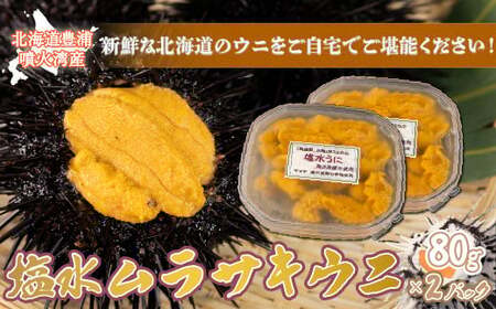 【令和8年度発送先行予約】うに 塩水 ムラサキウニ 80g×2パック 北海道 豊浦 噴火湾 雲丹【配送不可地域：離島】【ふるさと納税 人気 おすすめ ランキング 魚介類 うに ウニ 雲丹 むらさきうに ムラサキウニ おいしい 美味しい あまい 新鮮 北海道 豊浦町 送料無料】 TYUR021