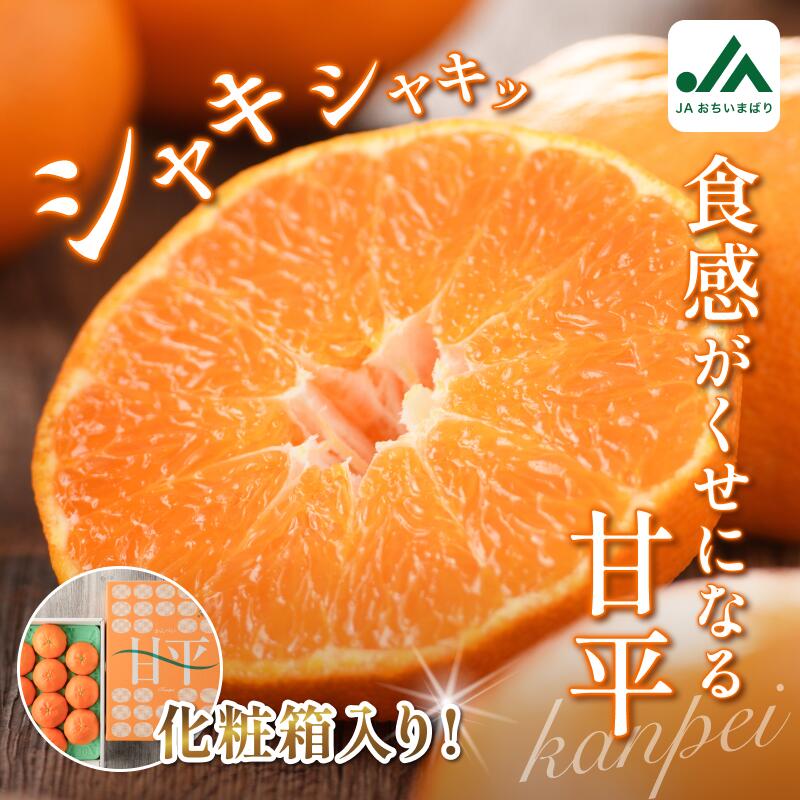 【ふるさと納税】【先行予約】＼超売れ筋商品！／ 甘平 （贈答用）化粧箱 4L～2L 8～12玉【KC00640】 ふるさと納税 愛媛県 今治市 先行予約 今治産 贈答用 みかん 大人気 フルーツ 甘い 柑橘 果物 JA 甘平みかん 愛媛ミカン ふるさと納税愛媛県 果物ふるさと納税