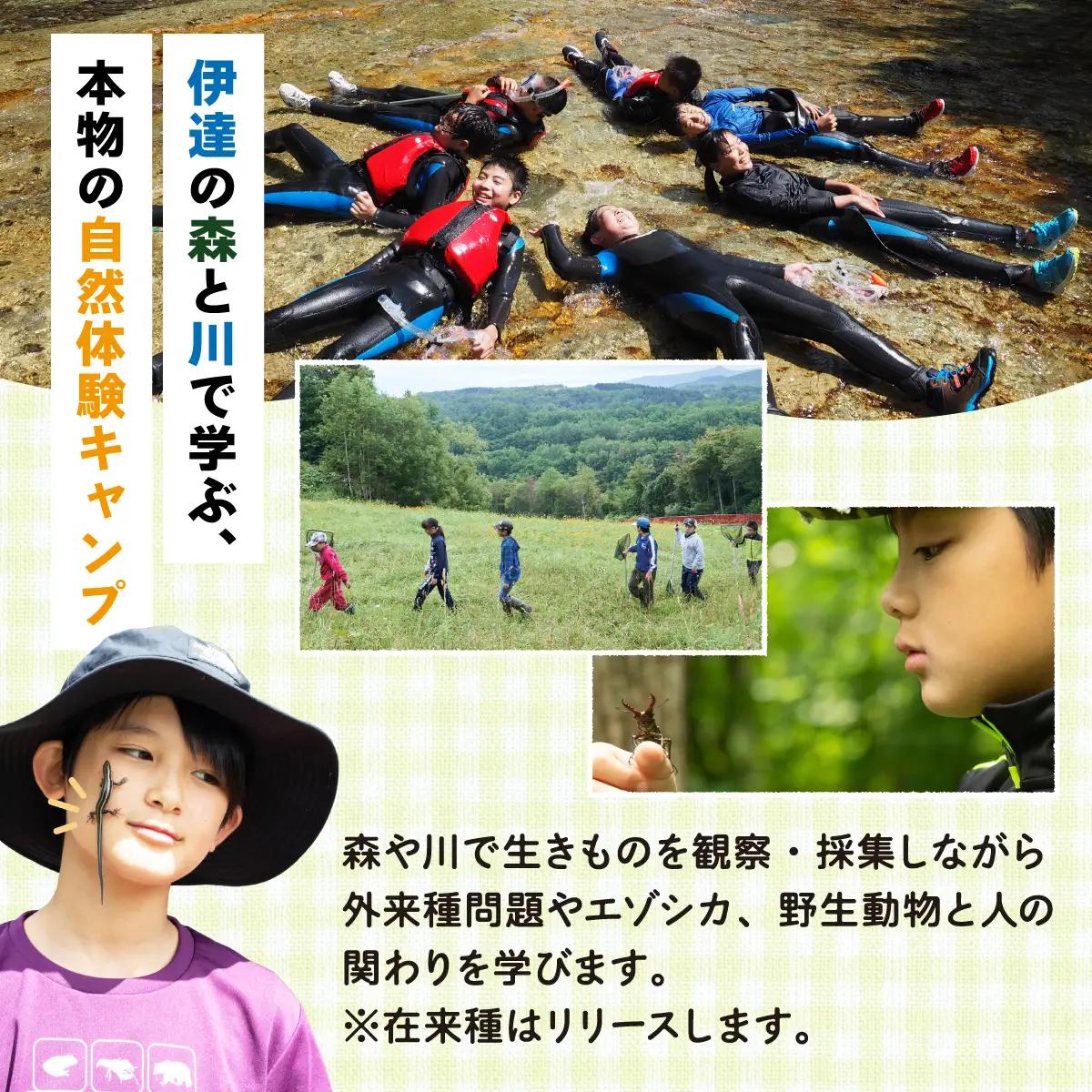 ＜2026年 7月30日(1泊)＞ 大自然での子ども体験学習キャンプ 野生動物について学ぼう！【imi-001】
