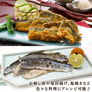 さんまスティック 500g 冷凍