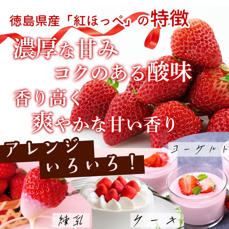 【 先行予約 】 いちご 500g 紅ほっぺ 苺 イチゴ ストロベリー 数量限定 1万円未満 徳島県産 strawberry ichigo itigo 2月上旬より順次出荷 徳島県