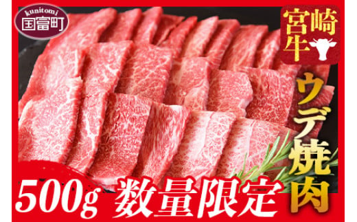 数量限定＜宮崎牛 ウデ焼肉 500g＞【 牛 肉 牛肉 宮崎牛 和牛 黒毛和牛 ウデ カルビ ロース ミヤチク 】翌々月までに順次出荷