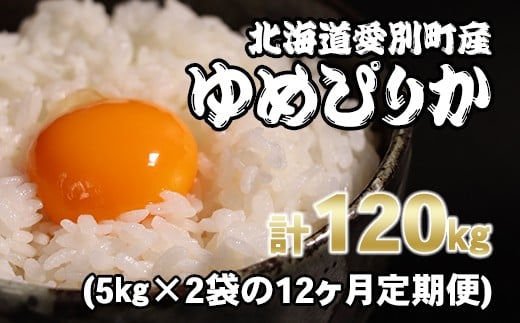 愛別町産米（ゆめぴりか5kg×2袋）12ヶ月定期配送【A18306】