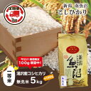 【ふるさと納税】 令和6年産 【無洗米5kg/3ヶ月定期便】湯沢産コシヒカリ＜無洗米＞ 南魚沼産 こしひかり 3回定期便 【期間限定 100g増量中！】