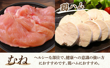 恵那どり 4種 (もも肉2枚 むね肉2枚 手羽先10本 手羽元10本) 小分け(約2-2.2kg) [TEZ013] 鶏肉