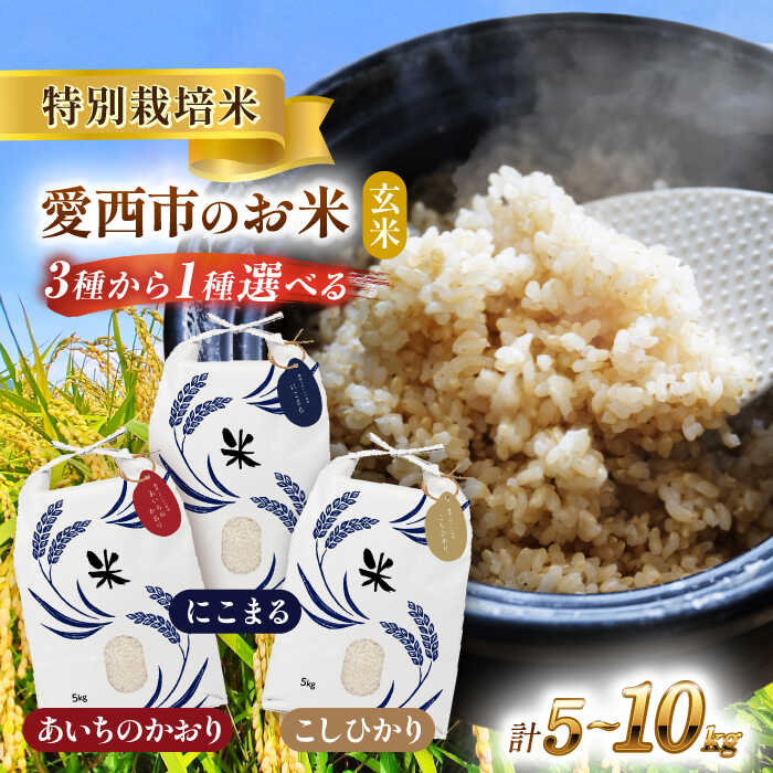 【ふるさと納税】＼選べる品種・内容量／ 玄米 5kg ～ 10kg 特別栽培米 お米 ご飯 愛知県産 米 玄米 愛西市／株式会社TONORI[AECT018]