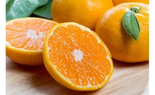 N-44 大鋸農園の甘果坊 １０ｋｇ