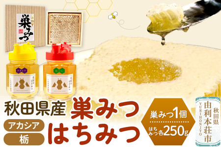小松養蜂場 はちみつ 秋田県産 100％ 巣みつ(アカシア)  +アカシア・栃はちみつ各 250g セット