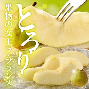 ラ・フランス 3kg フルーツ 果物 山形 08-08-028