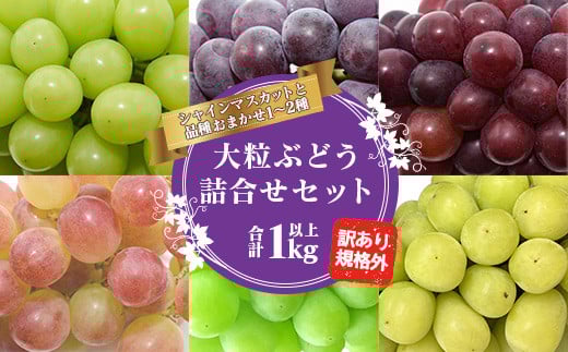 【先行予約2025年度発送】山形県産 訳あり ぶどう（品種おまかせ）計1kg  マスカット ぶどう ブドウ 葡萄 デザート フルーツ 果物 くだもの 果実 食品 山形県 FSY-1327