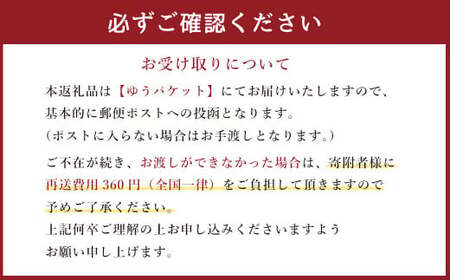 ほうじ茶 丸孝園の溶けるほうじ茶 合計90g （30g×3袋）塩崎丸孝園