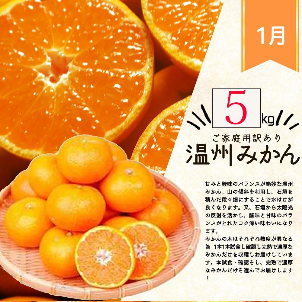 【1・2・3・4月 全4回 定期便】紀州和歌山産旬のご家庭用柑橘セット(みかん・不知火・せとか・清見)【UT130】