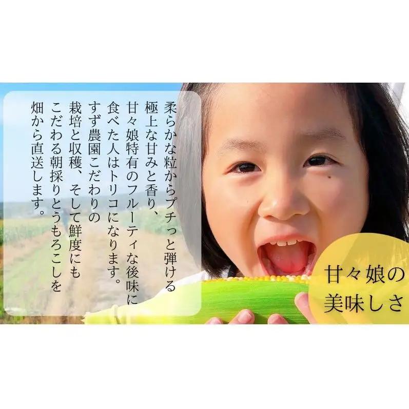 とうもろこし 先行予約 数量限定 甘々娘 コーン とうもろこし