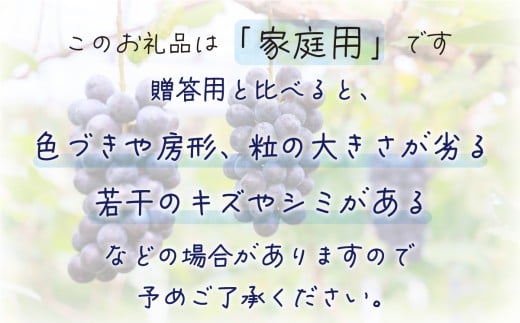【2026年先行予約】 岡山 花笑み農園の『BKシードレス』家庭用2kg（3～6房） 2026年9月中旬～ 受付順に発送予定 【hana029-02】