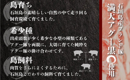 満天アグー 2種セット (ローストポーク 300g ウインナー 200g×2) | ふるさと納税 沖縄県 石垣市 石垣 沖縄 石垣島 ふるさと 人気 送料無料 アグー 豚 豚肉 ポーク