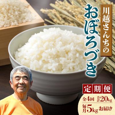 ふるさと納税 雨竜町 【定期便全4回】令和7年産 川越さんちの おぼろづき 5kg(5kg×1袋)毎月1回お届け