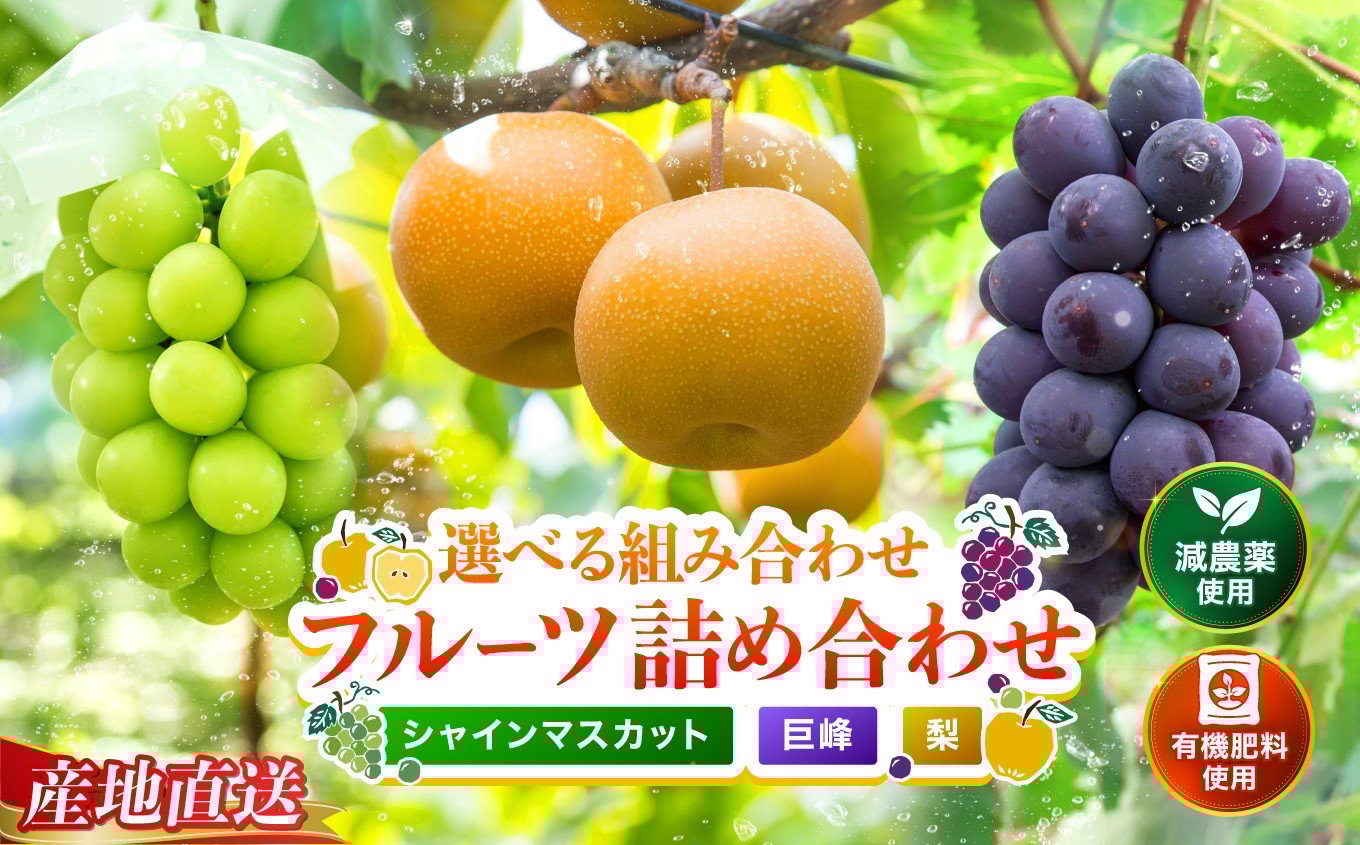 
                  糖度計使用 選べる 組み合わせ 内容量 巨峰 / シャインマスカット / 梨 詰め合わせ | ぶどう 葡萄 ブドウ 巨峰 シャインマスカット マスカット 梨 なし ナシ 和梨 果物 フルーツ くだもの 大分県産 九州産 大分県 中津市
                