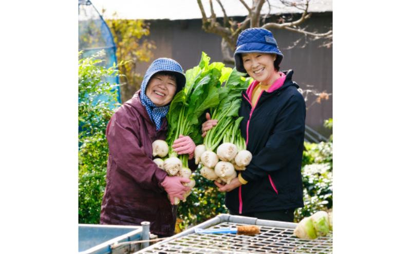 山内かぶらのポタージュスープ200g×6食 スープ ポタージュ 湯銭 簡単調理 朝食 冷凍 若狭町
