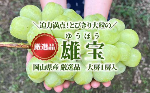 KF-B082-01【きよとうファーム】大粒葡萄「雄宝(ゆうほう)」 厳選品大１房入/房700ｇ以上 (岡山県産)